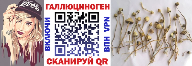 где продают наркотики  Новосиль  Галлюциногенные грибы MAGIC MUSHROOMS 